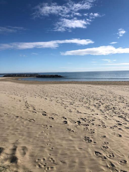 Carnon Plage : Bel Appartement Bien Citue Mauguio Eksteriør billede